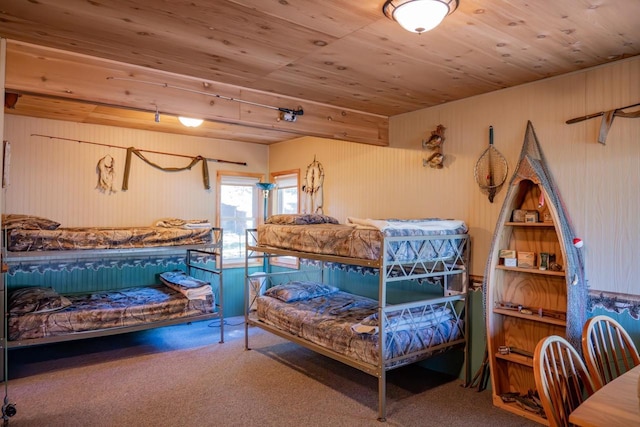 2146 Olmstead St, Friendship, WI 53934 - bedroom with wooden walls, carpet, and wooden ceiling