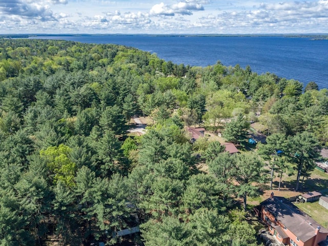 2146 Olmstead St, Friendship, WI 53934 - bird's eye view of a forest and a nearby body of water