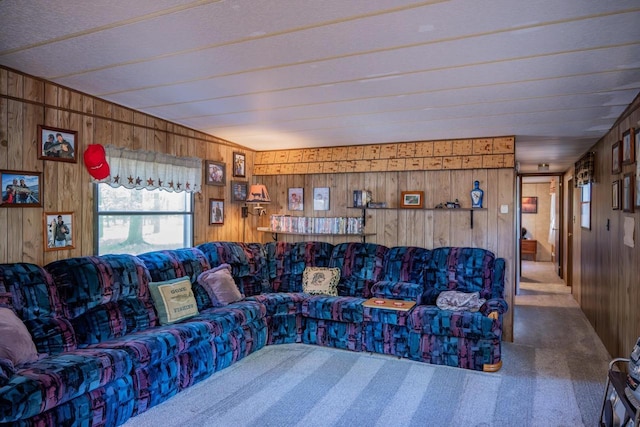 2146 Olmstead St, Friendship, WI 53934 - carpeted living room featuring wood walls