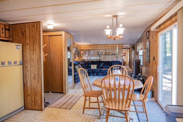 2146 Olmstead St, Friendship, WI 53934 - dining room featuring plenty of natural light, a chandelier, light carpet, wood walls, and baseboards