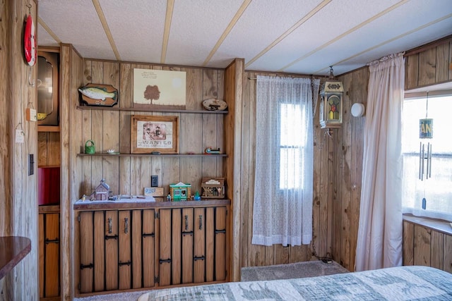 2146 Olmstead St, Friendship, WI 53934 - bedroom with wood walls