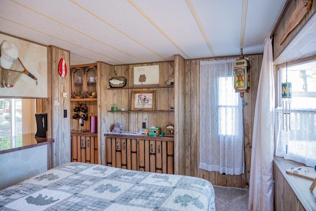 2146 Olmstead St, Friendship, WI 53934 - bedroom featuring wooden walls and carpet flooring