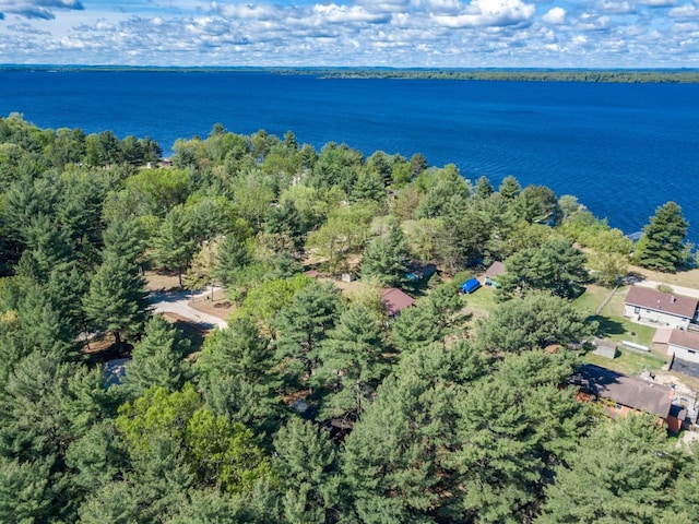2146 Olmstead St, Friendship, WI 53934 - aerial overview of property's location with a large body of water