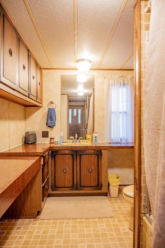 2146 Olmstead St, Friendship, WI 53934 - bathroom featuring a textured ceiling, toilet, and vanity