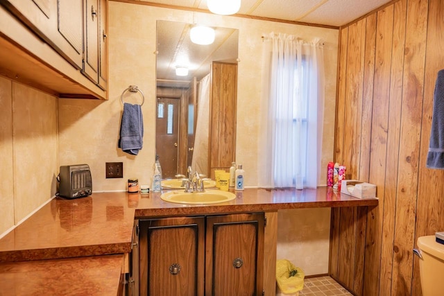 2146 Olmstead St, Friendship, WI 53934 - bathroom with vanity, toilet, and wooden walls