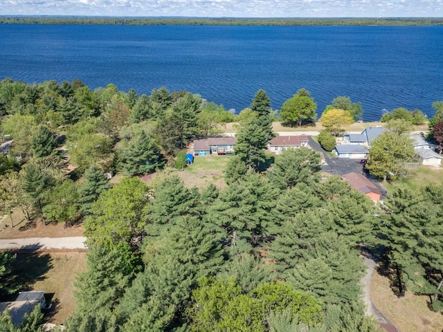 2146 Olmstead St, Friendship, WI 53934 - bird's eye view of a nearby body of water