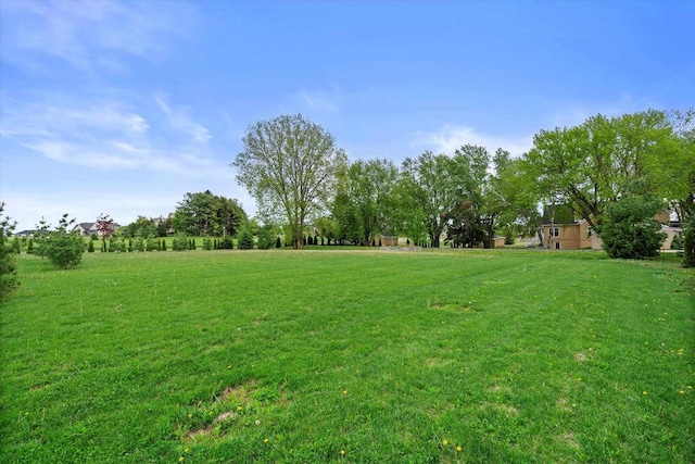 6600 N Ballard Rd, Appleton, WI 54913 - view of grassy yard