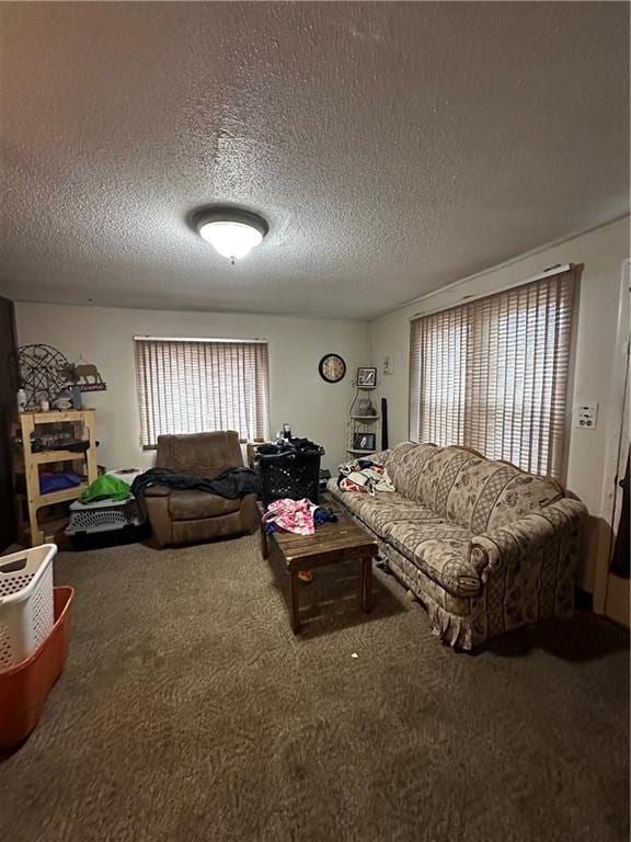 315 Armstrong Ave, Black River Falls, WI 54615 - carpeted living room featuring a textured ceiling