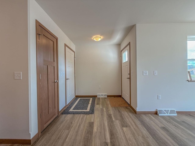 990 Morning Star Ln, Plover, WI 54467 - foyer entrance featuring light wood-style flooring, plenty of natural light, and baseboards