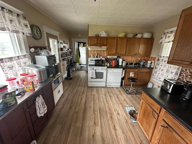 227 S 1st St, Colby, WI 54421 - kitchen featuring white appliances, under cabinet range hood, light wood-type flooring, brown cabinetry, and dark countertops