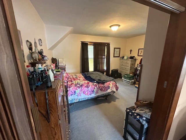 227 S 1st St, Colby, WI 54421 - view of carpeted bedroom