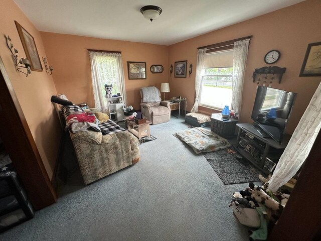 227 S 1st St, Colby, WI 54421 - view of carpeted living area