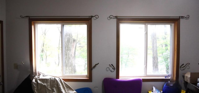 1129 Ember Dr, Adams, WI 53910 - interior space with multiple windows