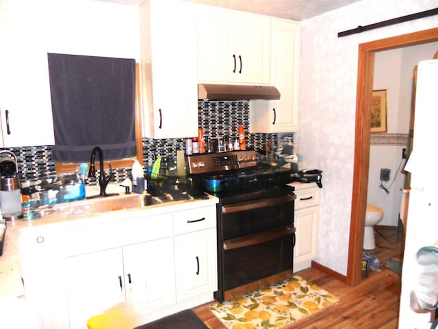 1129 Ember Dr, Adams, WI 53910 - kitchen featuring under cabinet range hood, double oven range, tasteful backsplash, and wood finished floors
