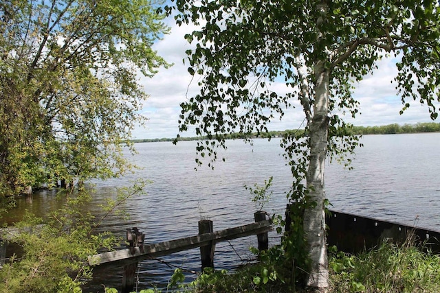 620 Oak St, Winneconne, WI 54986 - water view with a dock