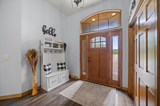 S91W35161 Prairie Ct, Eagle, WI 53119 - entrance foyer with baseboards and dark wood-style flooring