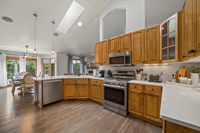 S91W35161 Prairie Ct, Eagle, WI 53119 - kitchen with appliances with stainless steel finishes, a peninsula, a skylight, light countertops, and glass insert cabinets