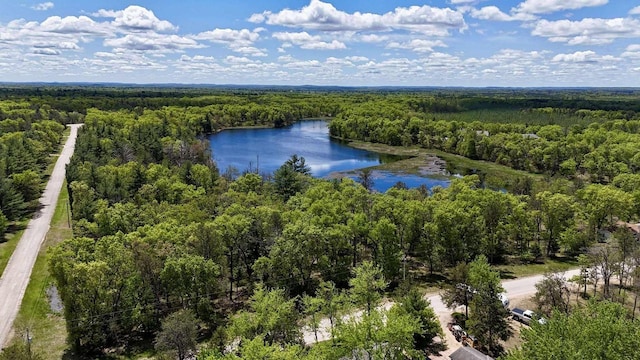 Dyke Dr, Friendship, WI 53934