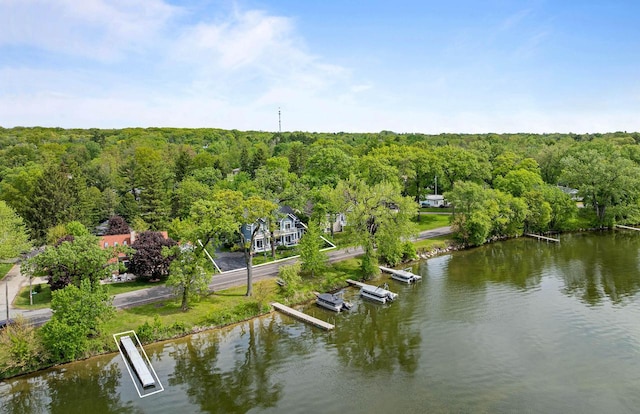 W3920 Lake Shore Dr, Lake Geneva, WI 53147 - aerial view of a heavily wooded area and a large body of water