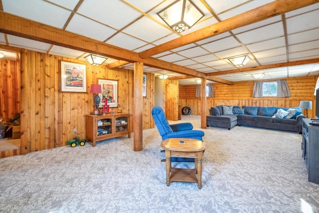 1116 Lake Park Rd, Menasha, WI 54952 - carpeted living area with wood walls