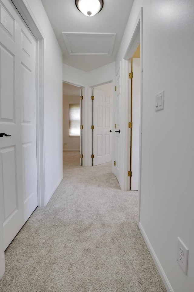 6622 96th Ave, Kenosha, WI 53142 - hallway featuring carpet, attic access, and baseboards