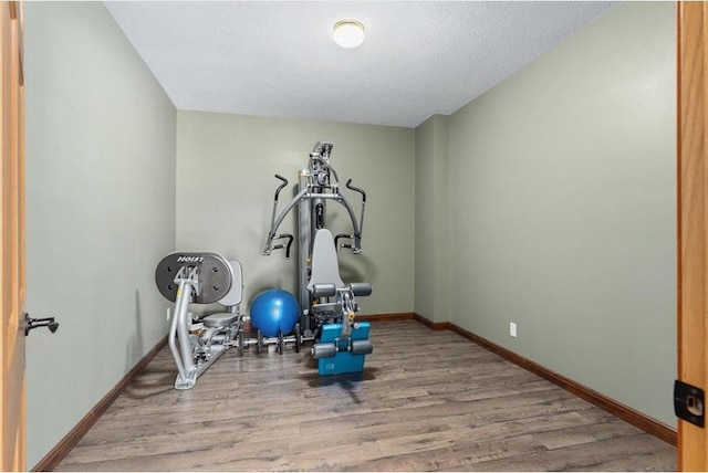 15210 Painters Lane Cir, Stillwater, MN 55082 - workout area with wood finished floors, baseboards, and a textured ceiling