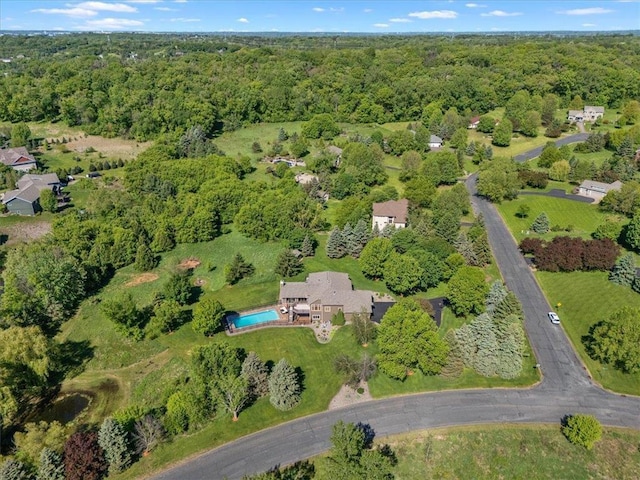 15210 Painters Lane Cir, Stillwater, MN 55082 - aerial view of property's location with a forest
