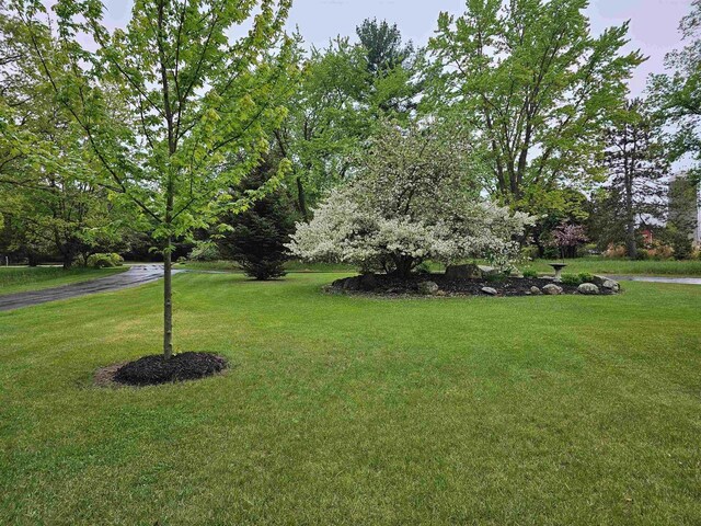 9388 Alpine Rd, Fremont, WI 54940 - view of green lawn
