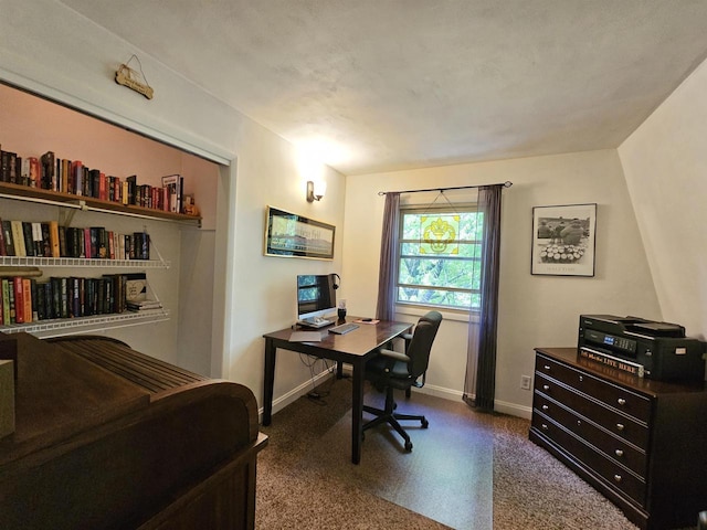9388 Alpine Rd, Fremont, WI 54940 - home office featuring baseboards
