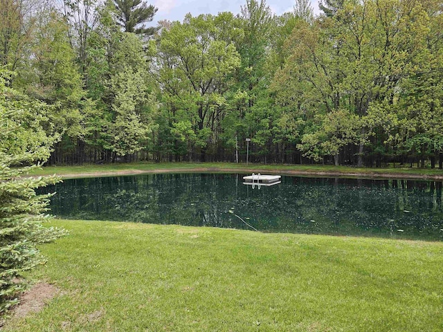 9388 Alpine Rd, Fremont, WI 54940 - water view featuring a heavily wooded area
