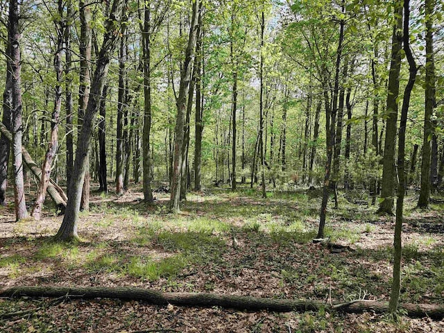 9388 Alpine Rd, Fremont, WI 54940 - view of tree filled area