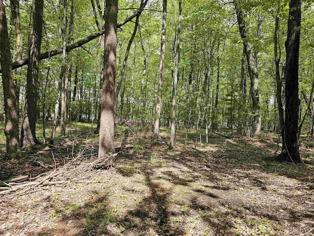 9388 Alpine Rd, Fremont, WI 54940 - view of tree filled area