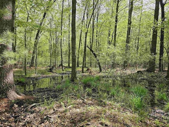 9388 Alpine Rd, Fremont, WI 54940 - view of tree filled area