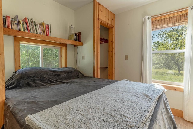 17785 Circle Dr, Boscobel, WI 53805 - bedroom featuring multiple windows