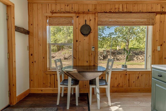 17785 Circle Dr, Boscobel, WI 53805 - dining space featuring light wood-type flooring, wooden walls, plenty of natural light, and baseboards