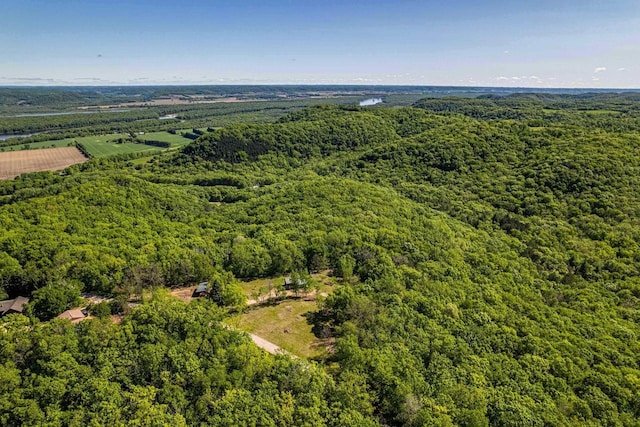 17785 Circle Dr, Boscobel, WI 53805 - bird's eye view of a forest