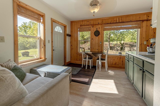 17785 Circle Dr, Boscobel, WI 53805 - living room featuring plenty of natural light, light wood-style floors, wood walls, and baseboards