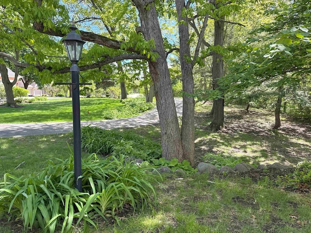79 Oakridge Ct, Fond Du Lac, WI 54937 - view of grassy yard