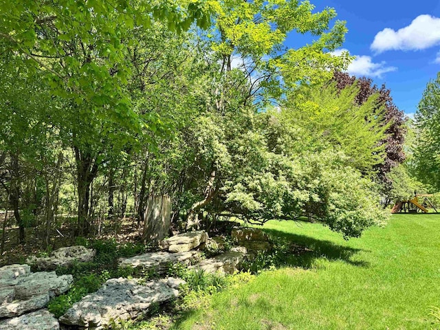 79 Oakridge Ct, Fond Du Lac, WI 54937 - view of yard