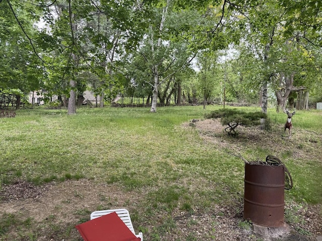 1306 Grandview Ave, Oconomowoc, WI 53066 - view of yard