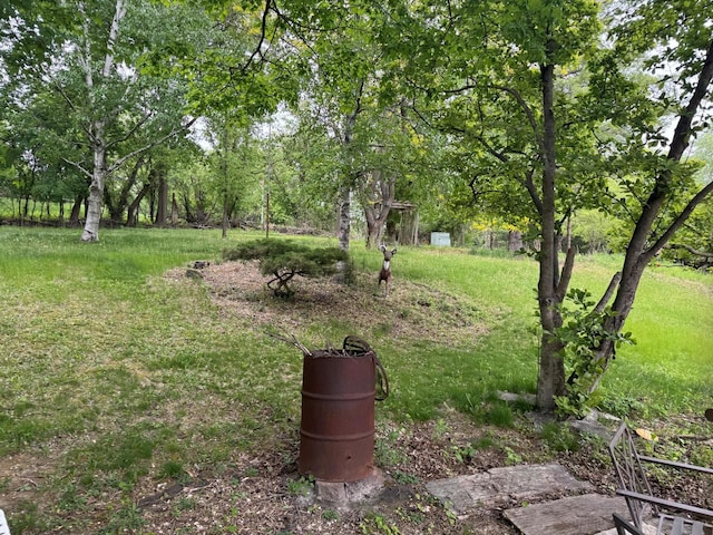 1306 Grandview Ave, Oconomowoc, WI 53066 - view of yard