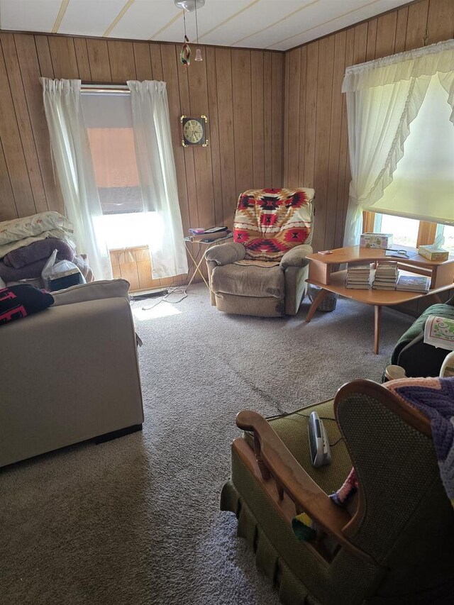 4027 Creamery St, Stitzer, WI 53825 - carpeted living area with wood walls