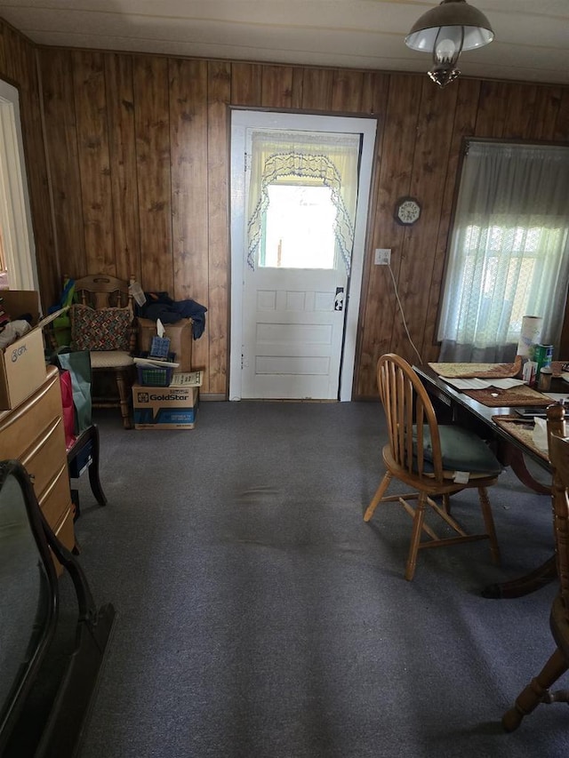 4027 Creamery St, Stitzer, WI 53825 - carpeted entryway with wooden walls