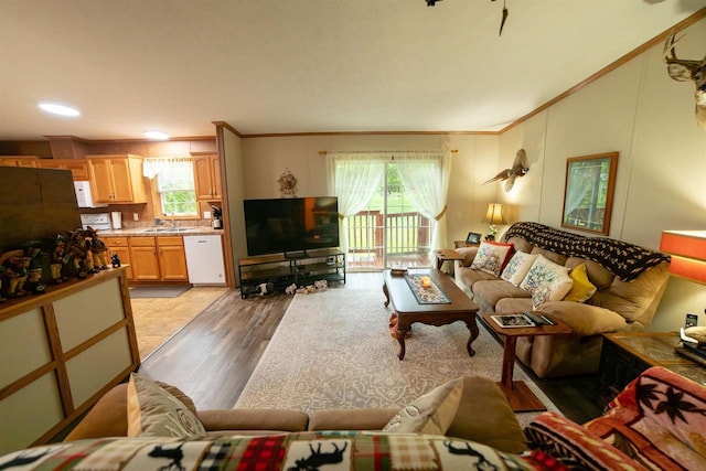 W7744 County Rd E, Westfield, WI 53964 - living room with crown molding and light wood-style flooring