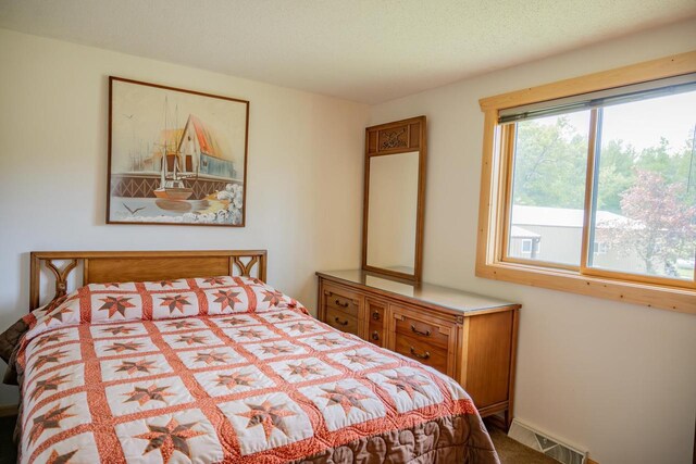 N12124 12th Ave, Necedah, WI 54646 - bedroom featuring carpet floors