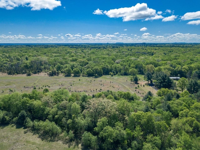 N12124 12th Ave, Necedah, WI 54646 - aerial view of a heavily wooded area