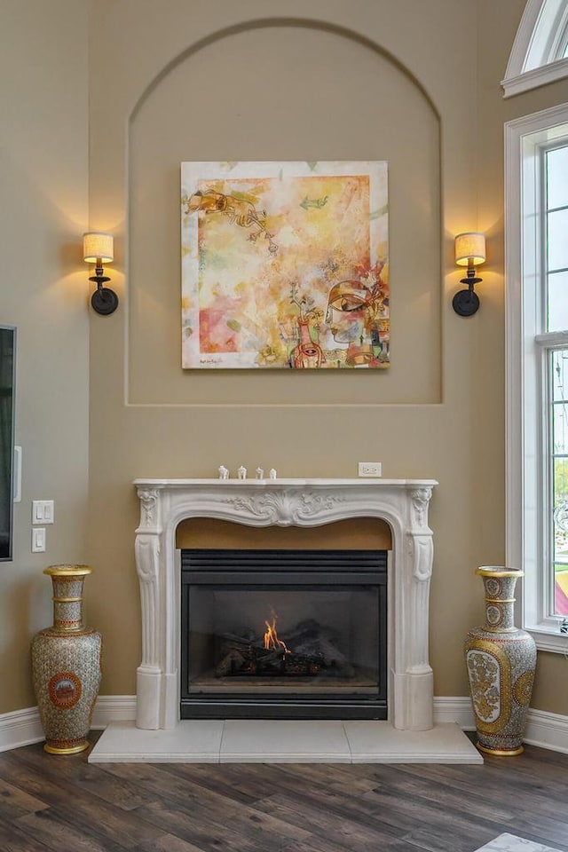 18290 Prairie Falcon Ln, Brookfield, WI 53045 - detailed view of wood finished floors, a premium fireplace, and baseboards