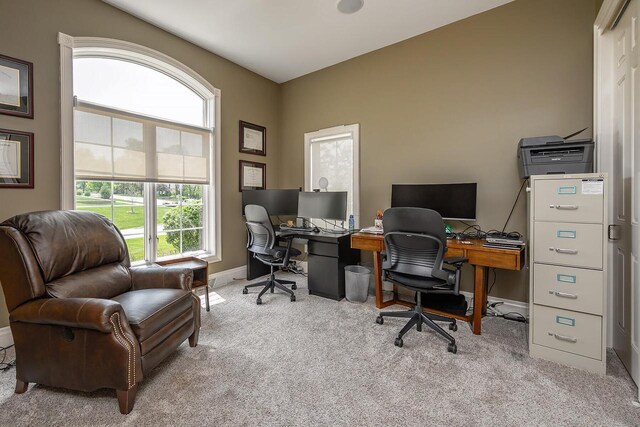 18290 Prairie Falcon Ln, Brookfield, WI 53045 - carpeted home office with baseboards