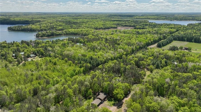 3015 Aspen Ter, Danbury, WI 54830 - drone / aerial view of a forest and a nearby body of water