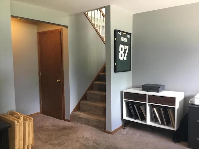 2706 Pleasant Dr, Holmen, WI 54636 - stairway with carpet flooring and radiator heating unit